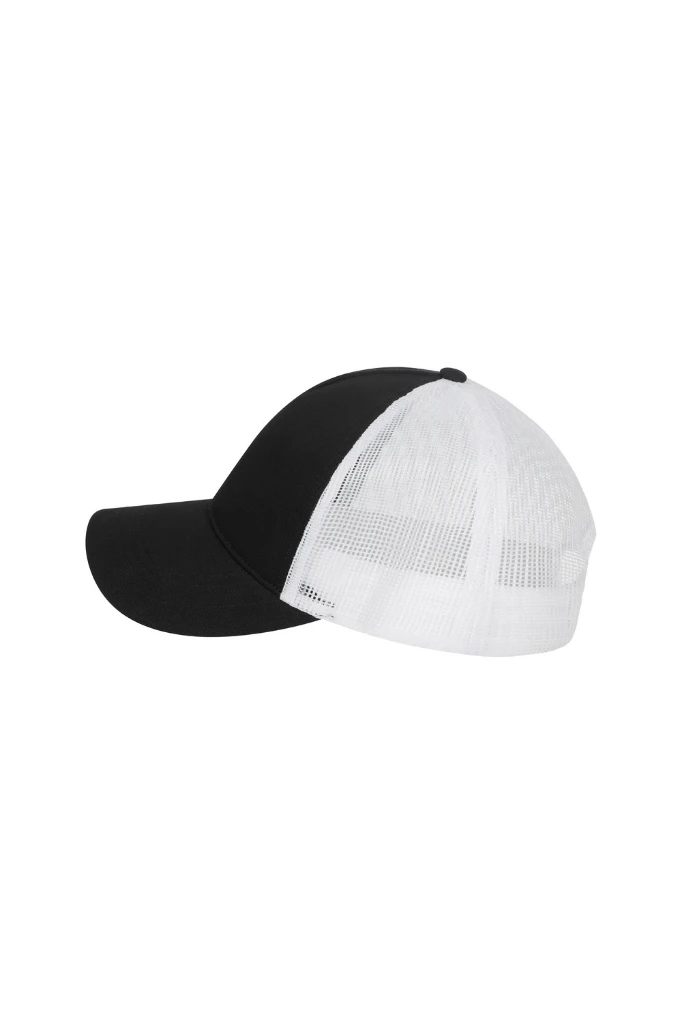 HAMILTONBICOLOR-BLACKWHITE-03-safetyrplweb-VELILLA.webp