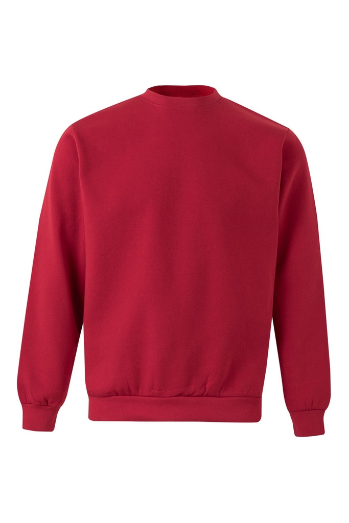 SUDADERA 105701 · [260g]